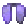 Elytra