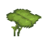 Big Dripleaf