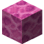 Brain Coral Block