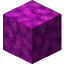 Bubble Coral Block