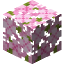 Cherry Leaves