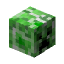 Creeper Head