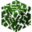 Dark Oak Leaves