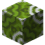 Green Glazed Terracotta