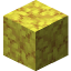 Horn Coral Block