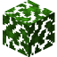 Jungle Leaves