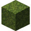 Moss Block