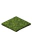 Moss Carpet