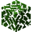 Oak Leaves