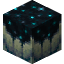 Sculk Catalyst