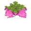 Spore Blossom