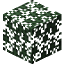 Spruce Leaves