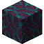 Warped Hyphae