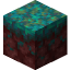 Warped Nylium